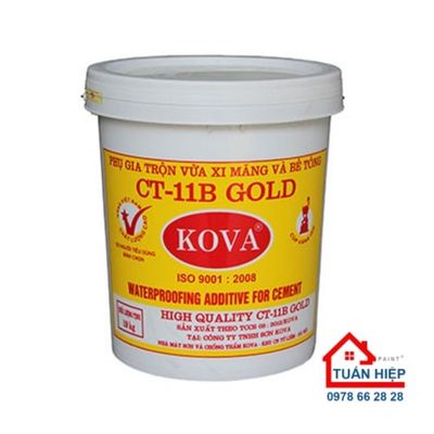 Chống thấm phụ gia bê tông CT-11 B 4kg